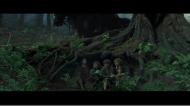 Illustration for article titled Lord of the Rings HD vs. DVD Screen Captures: Get Ready to Buy a Blu-ray Player